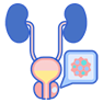 Prostate Cancer Treatment in Jaipur