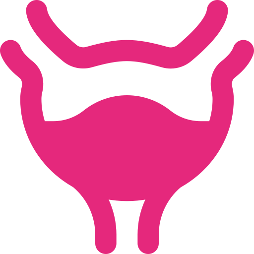Urinary Bladder Cancer