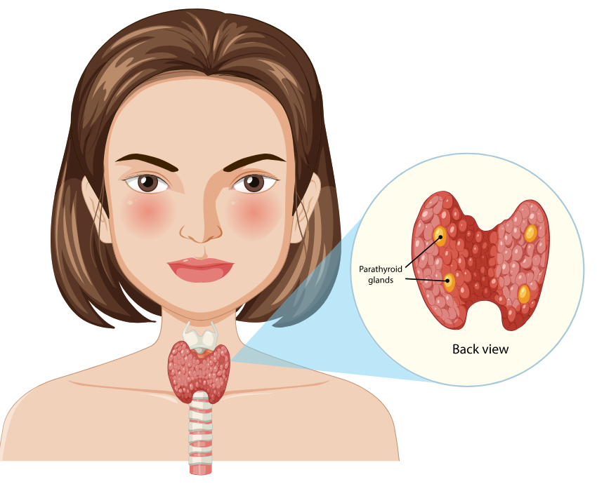 Throat cancer treatment in Jaipur