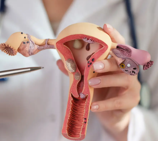 Uterine Cancer Philosophy