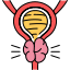 Family history of prostate cancer and worry about your own risk