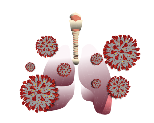 Looking for Cancer Treatment in Rajasthan?