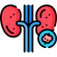 Kidney Cancer